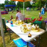Party in the Park