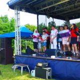 Party in the Park
